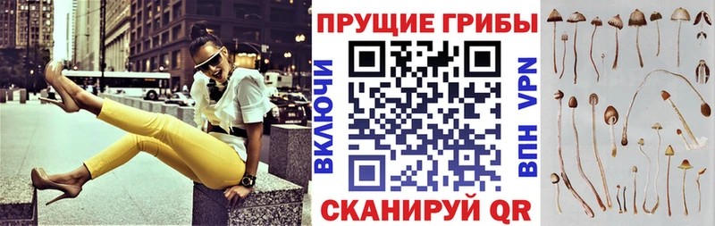 Галлюциногенные грибы мухоморы  как найти   Ипатово 